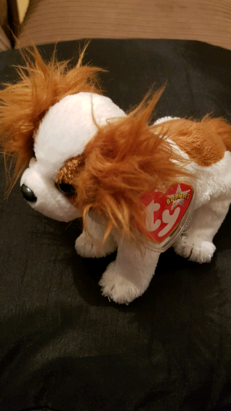 regal beanie baby